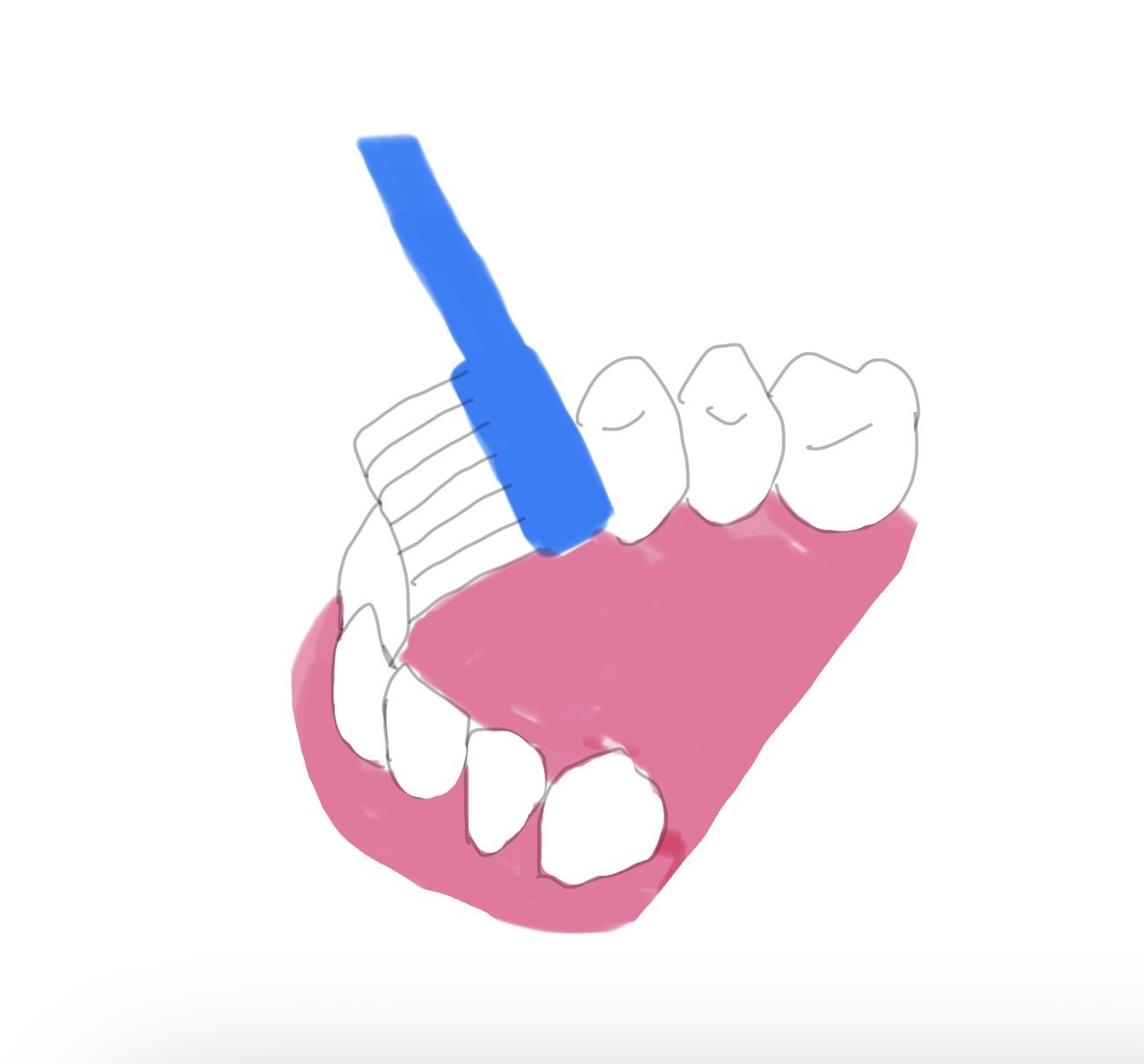 正しい歯磨きで口腔ケアを!基本の3つの磨き方とは?